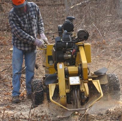 tree service san diego stump grinding