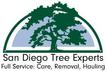 tree service san diego tree removal