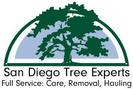 Tree Service San Diego tree trimmings